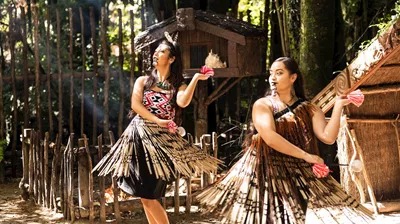 New Zealand Uncovered